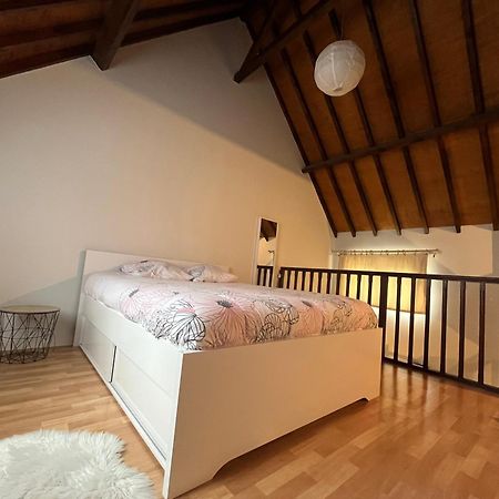 Le Mortier D'Or Duplex Hyper Centre Ville Troyes Zewnętrze zdjęcie