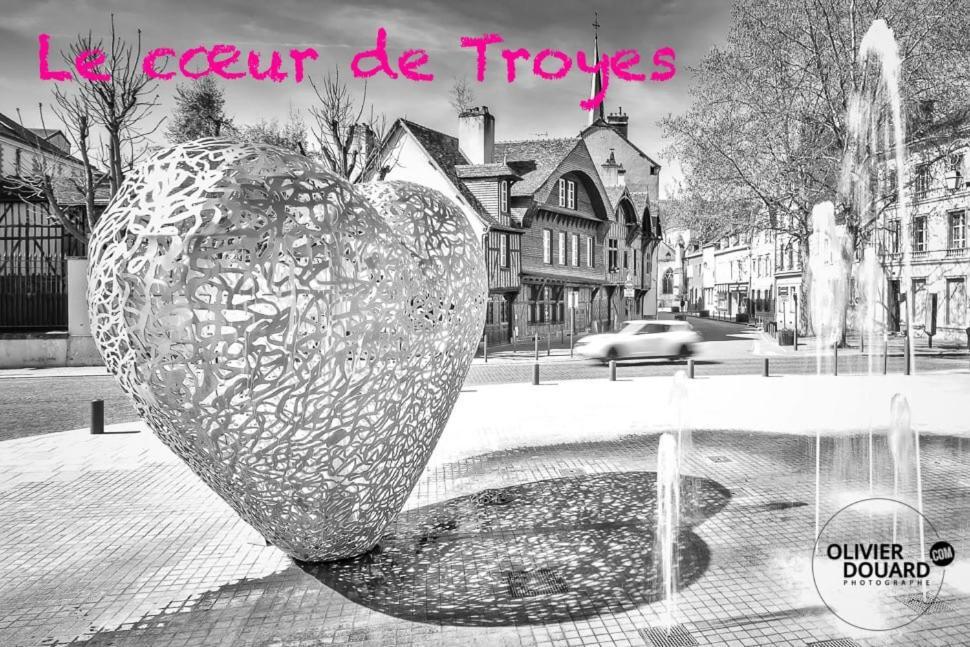 Le Mortier D'Or Duplex Hyper Centre Ville Troyes Zewnętrze zdjęcie